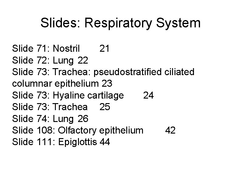 Slides: Respiratory System Slide 71: Nostril 21 Slide 72: Lung 22 Slide 73: Trachea: