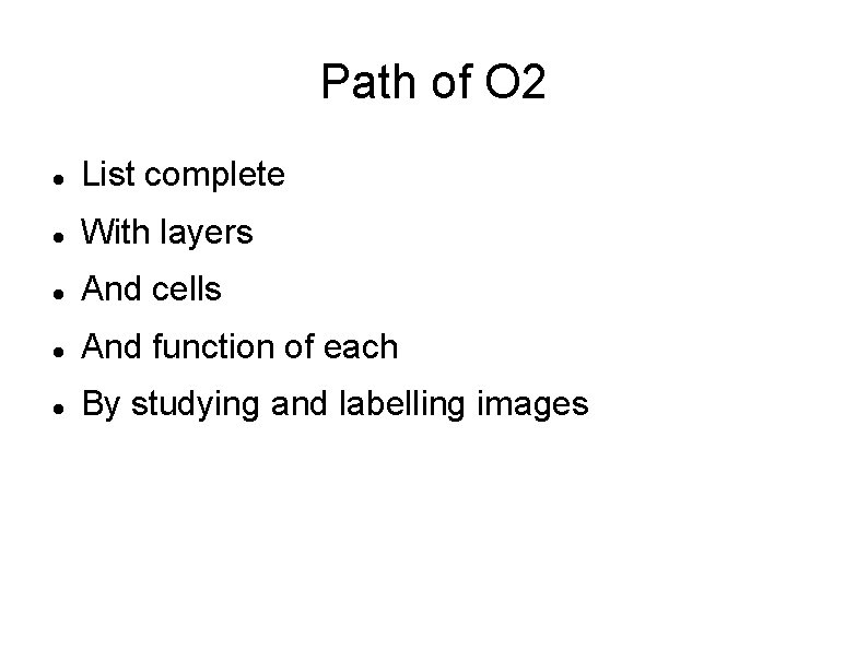 Path of O 2 List complete With layers And cells And function of each