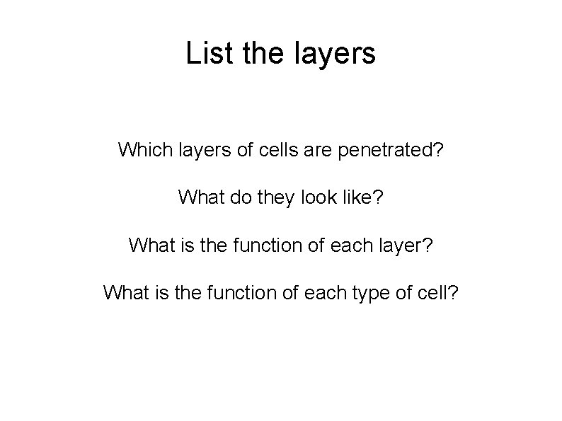 List the layers Which layers of cells are penetrated? What do they look like?
