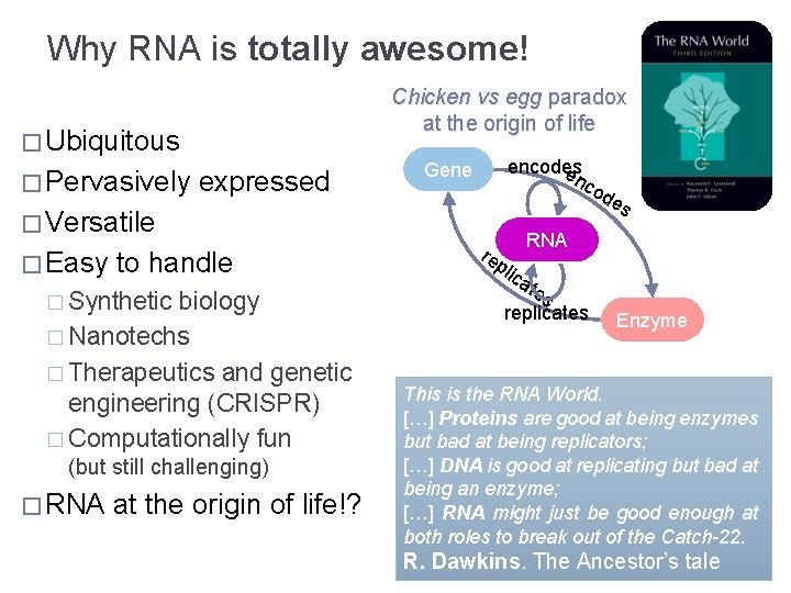 Why RNA is totally awesome! Chicken vs egg paradox at the origin of life