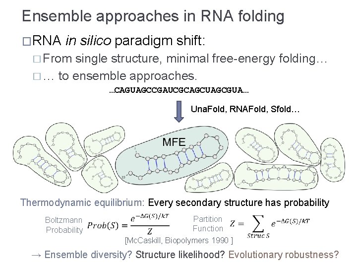 Ensemble approaches in RNA folding �RNA in silico paradigm shift: � From single structure,