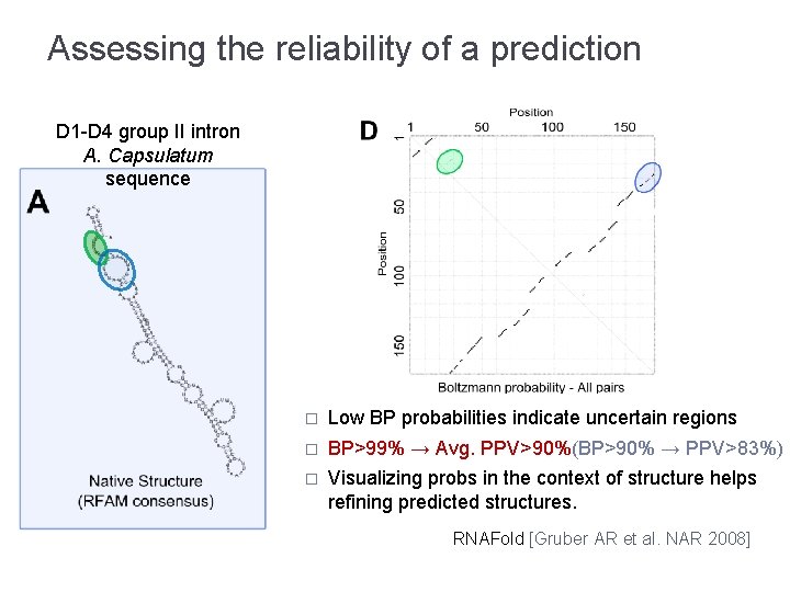 Assessing the reliability of a prediction D 1 -D 4 group II intron A.