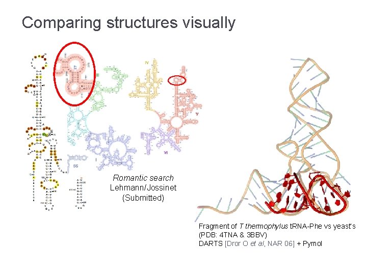 Comparing structures visually Romantic search Lehmann/Jossinet (Submitted) Fragment of T thermophylus t. RNA-Phe vs