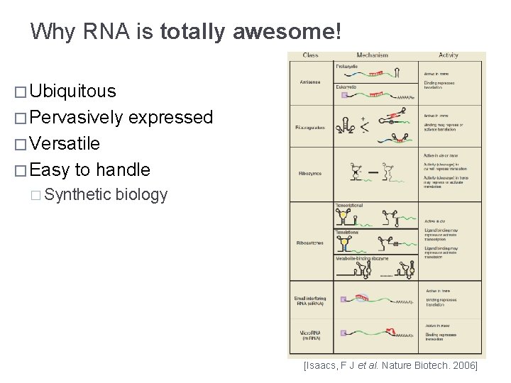 Why RNA is totally awesome! � Ubiquitous � Pervasively expressed � Versatile � Easy