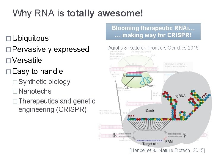 Why RNA is totally awesome! Blooming therapeutic RNAi… … making way for CRISPR! �