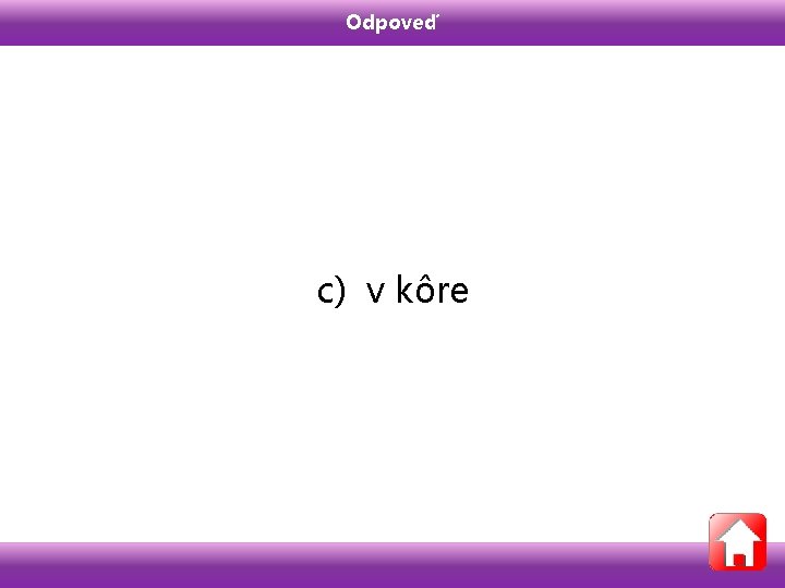 Odpoveď c) v kôre 