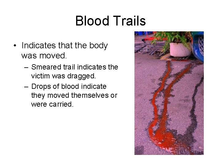 Blood Trails • Indicates that the body was moved. – Smeared trail indicates the