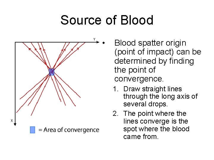 Source of Blood • Blood spatter origin (point of impact) can be determined by