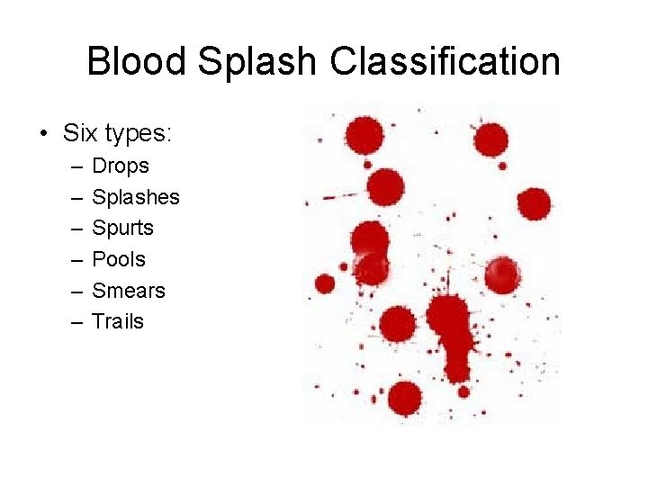 Blood Splash Classification • Six types: – – – Drops Splashes Spurts Pools Smears