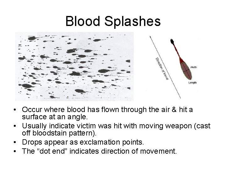 Blood Splashes • Occur where blood has flown through the air & hit a