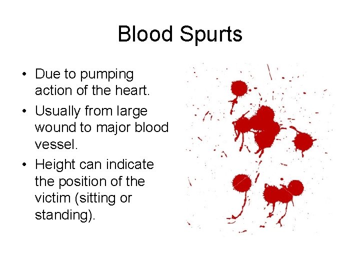 Blood Spurts • Due to pumping action of the heart. • Usually from large