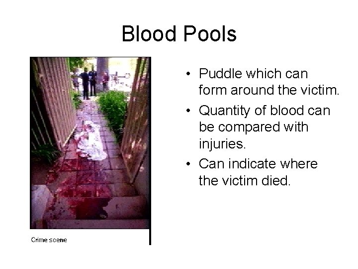 Blood Pools • Puddle which can form around the victim. • Quantity of blood