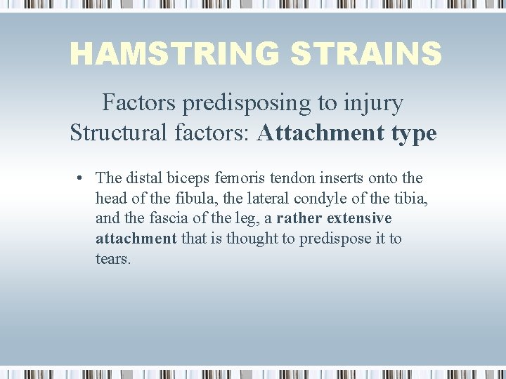 HAMSTRING STRAINS Factors predisposing to injury Structural factors: Attachment type • The distal biceps