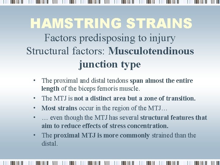 HAMSTRING STRAINS Factors predisposing to injury Structural factors: Musculotendinous junction type • The proximal