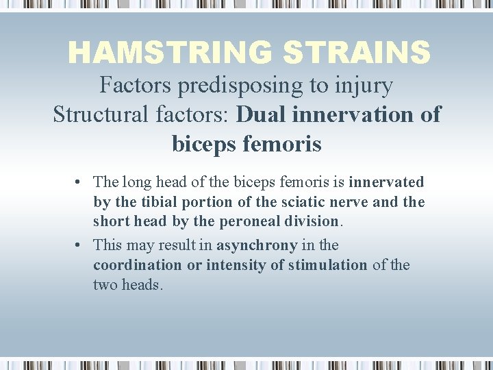 HAMSTRING STRAINS Factors predisposing to injury Structural factors: Dual innervation of biceps femoris •