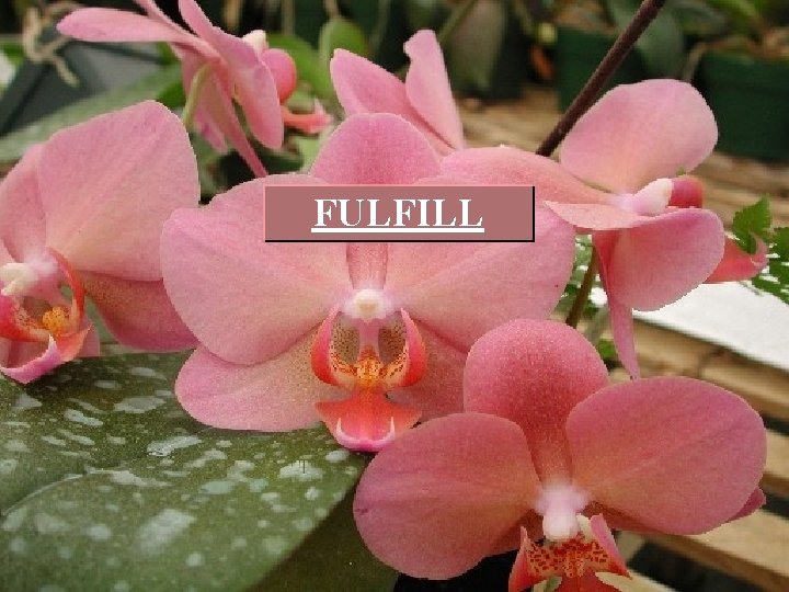 FULFILL 