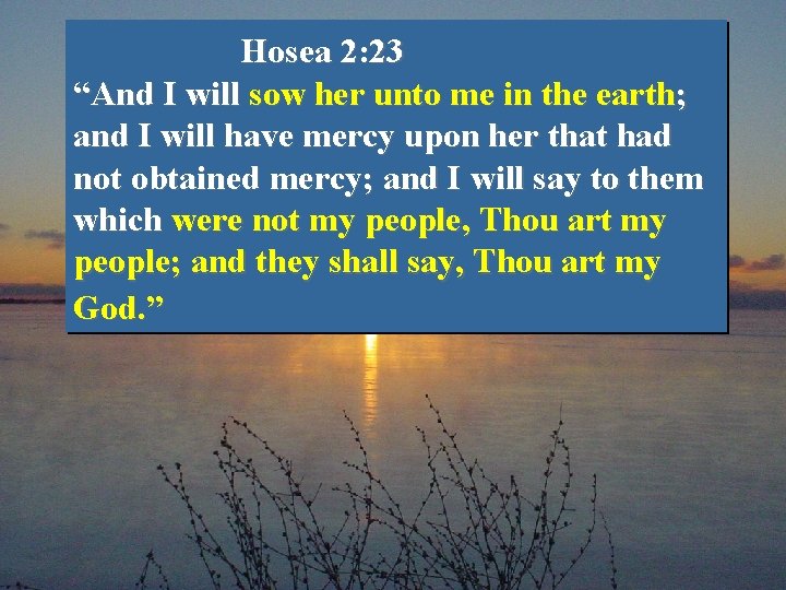Hosea 2: 23 “And I will sow her unto me in the earth; and