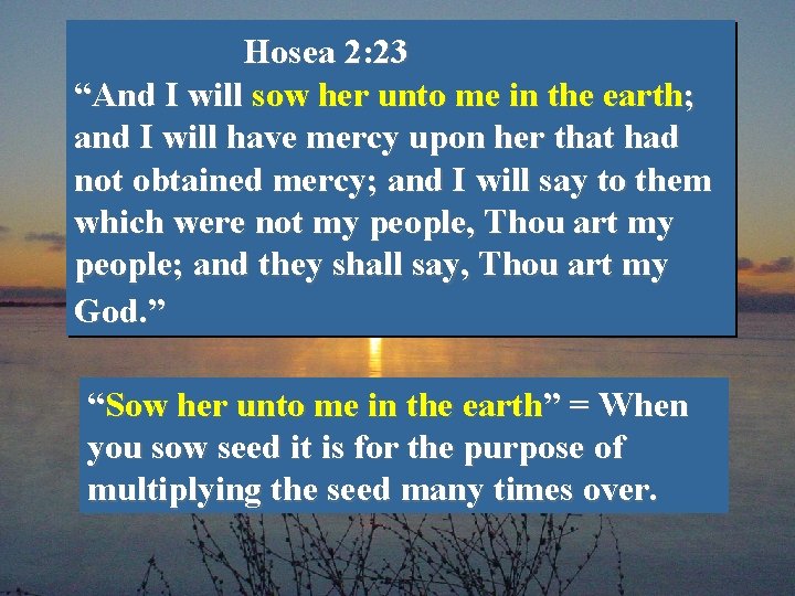 Hosea 2: 23 “And I will sow her unto me in the earth; and