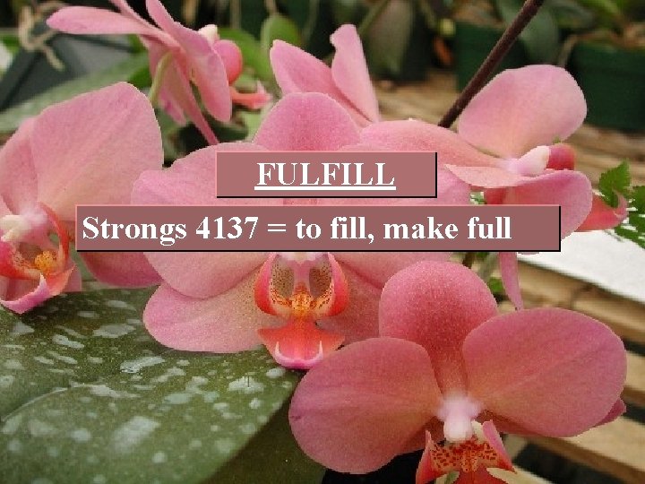 FULFILL Strongs 4137 = to fill, make full 