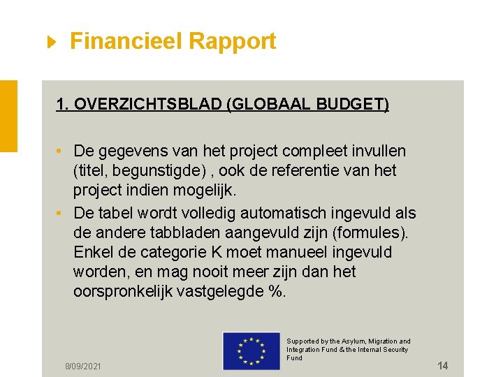 Financieel Rapport 1. OVERZICHTSBLAD (GLOBAAL BUDGET) • De gegevens van het project compleet invullen