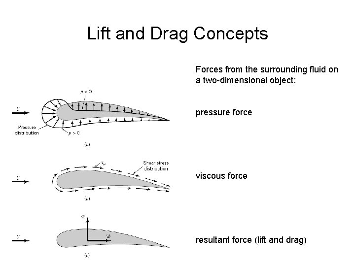 Lift and Drag Concepts Forces from the surrounding fluid on a two-dimensional object: pressure