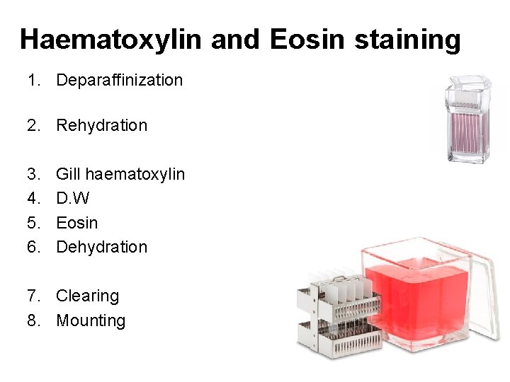 Haematoxylin and Eosin staining 1. Deparaffinization 2. Rehydration 3. 4. 5. 6. Gill haematoxylin