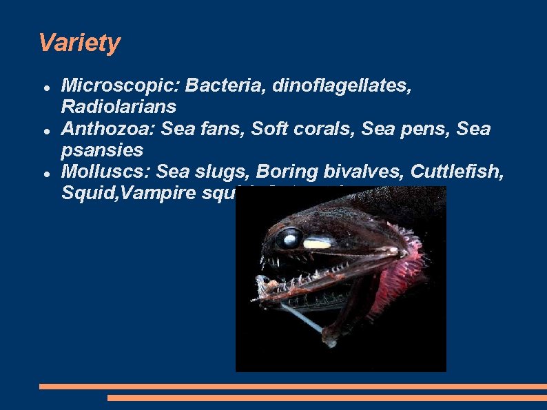 Variety Microscopic: Bacteria, dinoflagellates, Radiolarians Anthozoa: Sea fans, Soft corals, Sea pens, Sea psansies