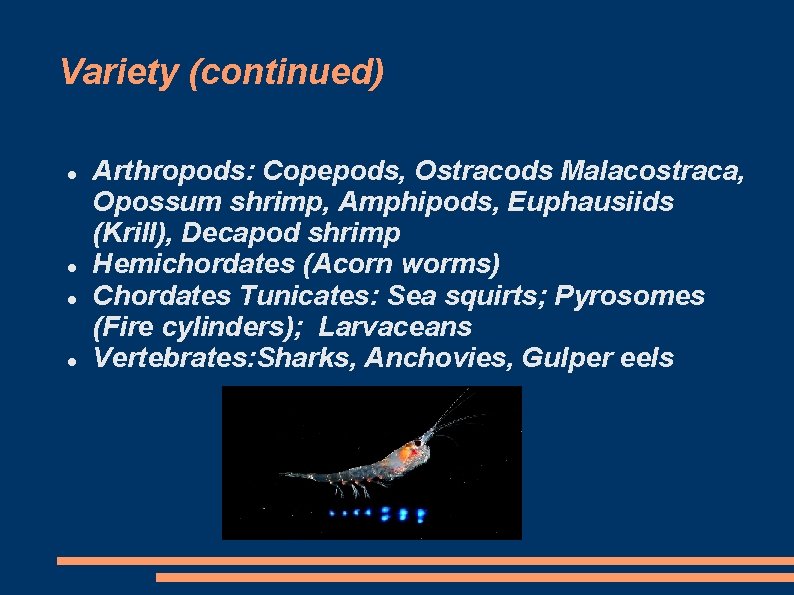 Variety (continued) Arthropods: Copepods, Ostracods Malacostraca, Opossum shrimp, Amphipods, Euphausiids (Krill), Decapod shrimp Hemichordates