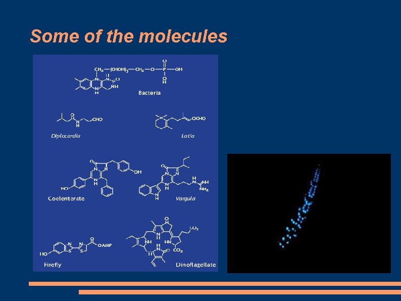 Some of the molecules 