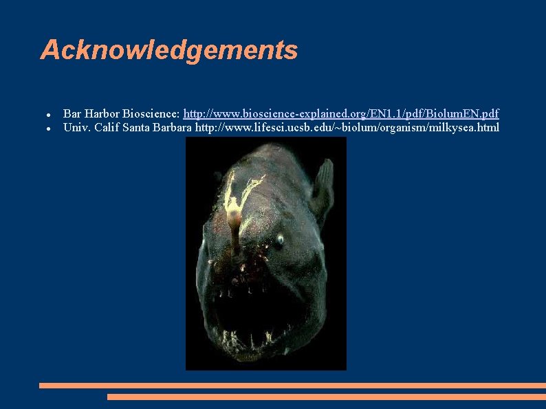 Acknowledgements Bar Harbor Bioscience: http: //www. bioscience-explained. org/EN 1. 1/pdf/Biolum. EN. pdf Univ. Calif