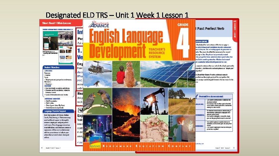 Designated ELD TRS – Unit 1 Week 1 Lesson 1 