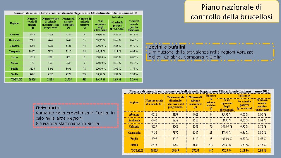 Piano nazionale di controllo della brucellosi Bovini e bufalini Diminuzione della prevalenza nelle regioni