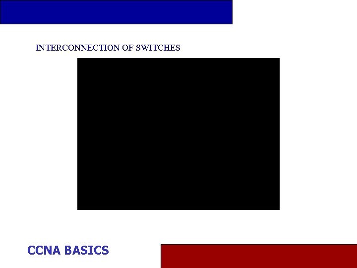 INTERCONNECTION OF SWITCHES CCNA BASICS 