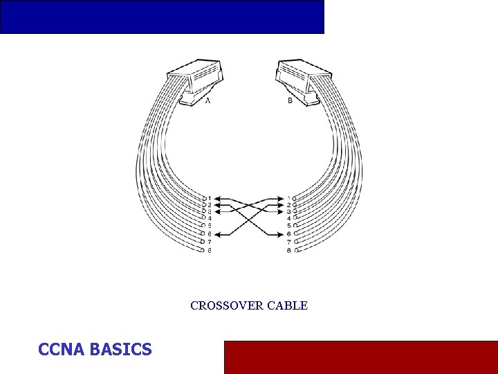 CROSSOVER CABLE CCNA BASICS 