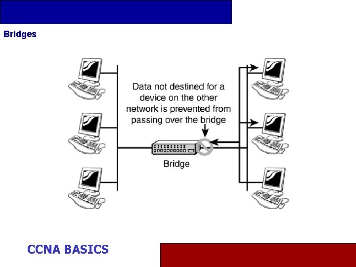 Bridges CCNA BASICS 