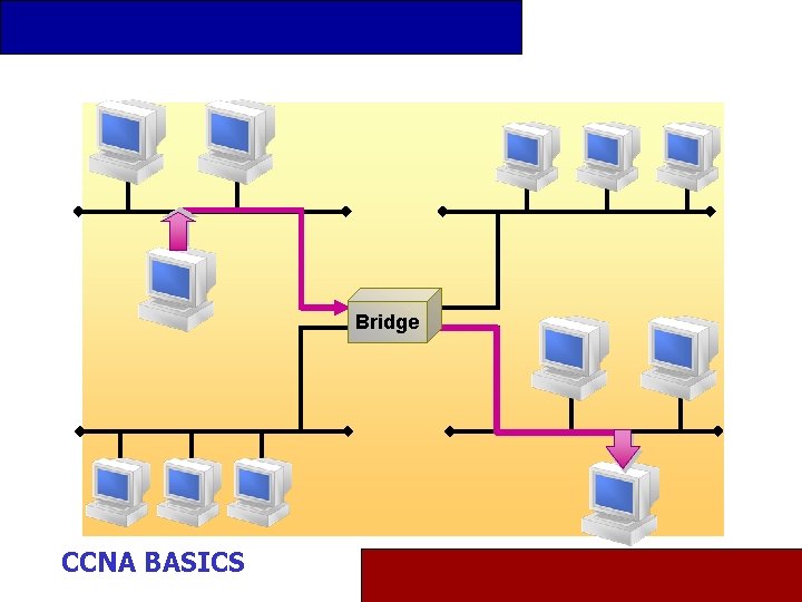 Bridge CCNA BASICS 