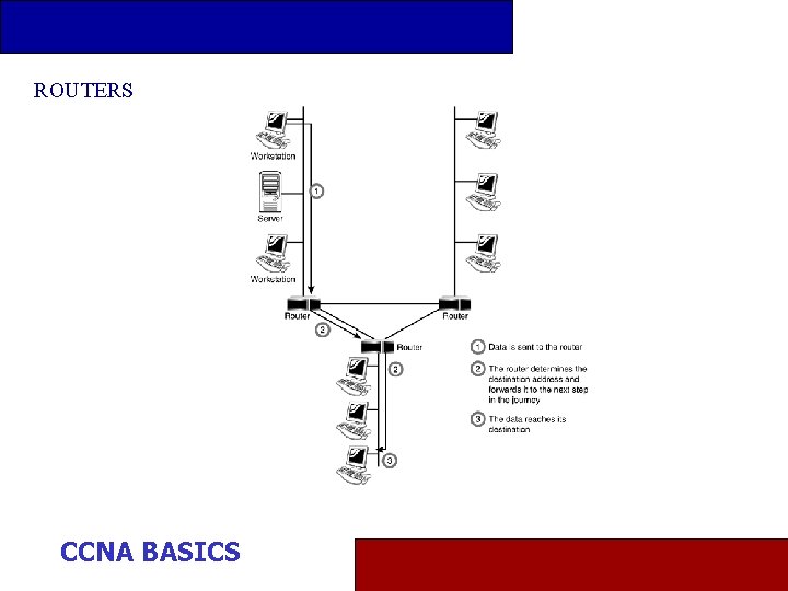 ROUTERS CCNA BASICS 