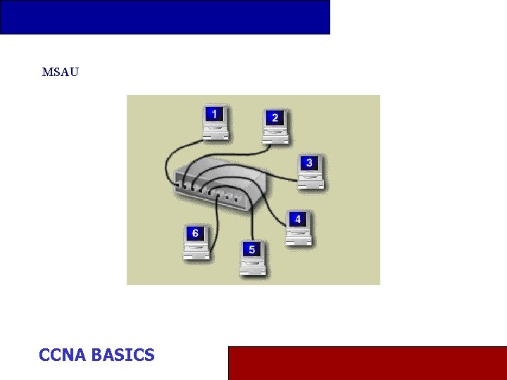 MSAU CCNA BASICS 