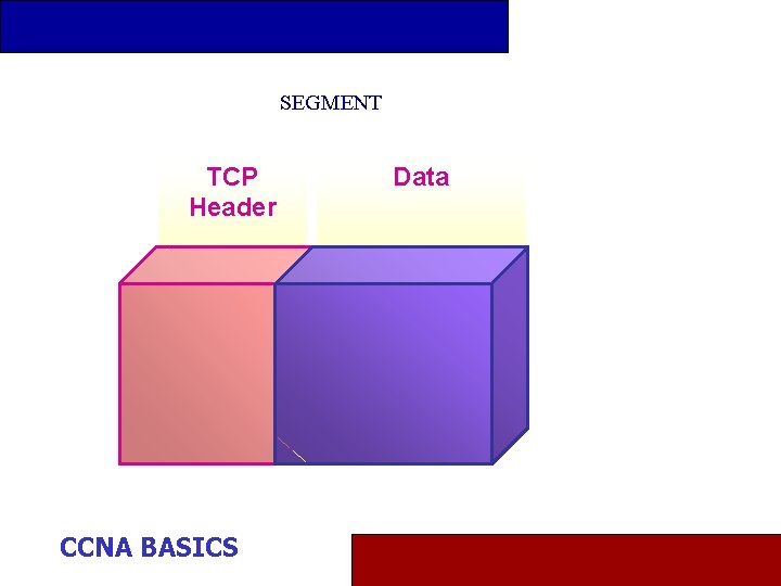 SEGMENT TCP Header CCNA BASICS Data 