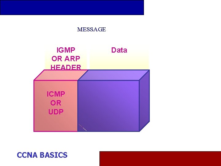 MESSAGE IGMP OR ARP HEADER ICMP OR UDP CCNA BASICS Data 