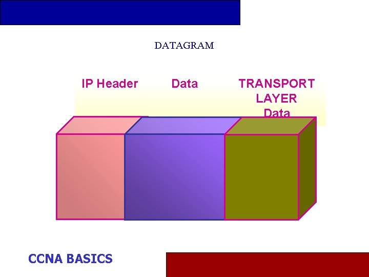 DATAGRAM IP Header CCNA BASICS Data TRANSPORT LAYER Data 