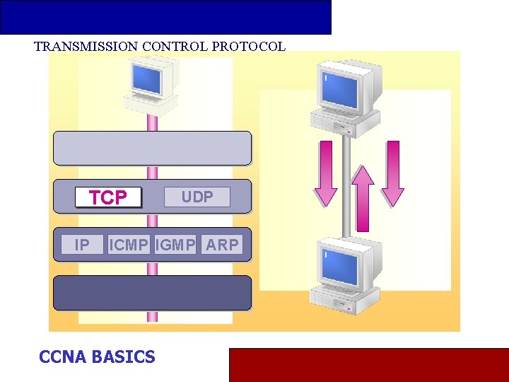 TRANSMISSION CONTROL PROTOCOL TCP IP UDP ICMP IGMP ARP CCNA BASICS 