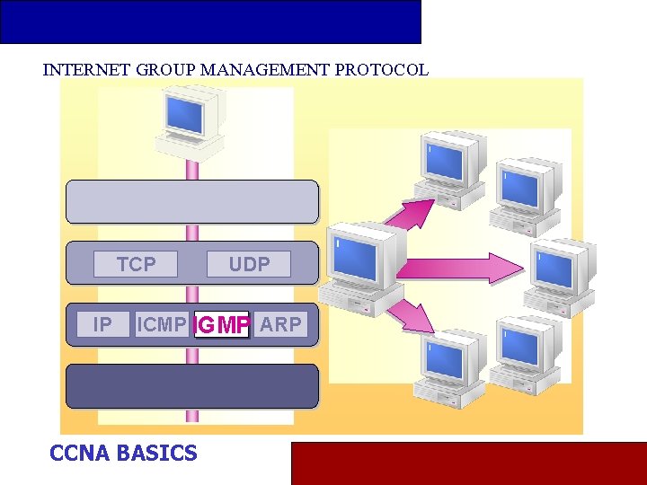 INTERNET GROUP MANAGEMENT PROTOCOL TCP IP UDP ICMP IGMP ARP CCNA BASICS 