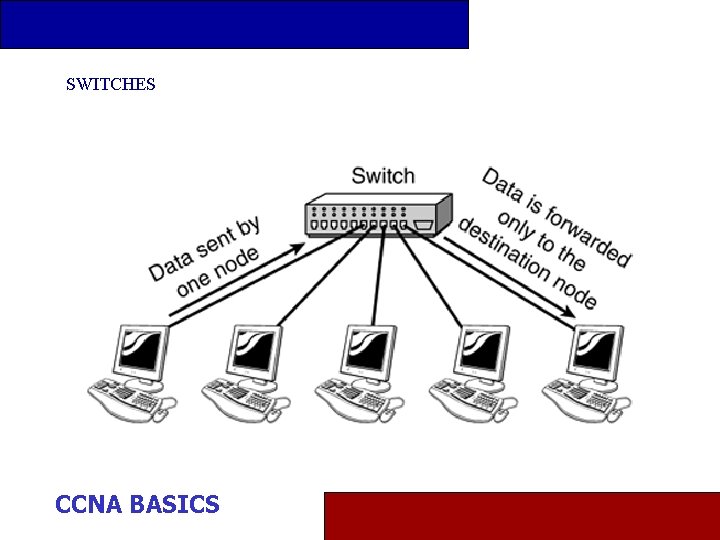 SWITCHES CCNA BASICS 