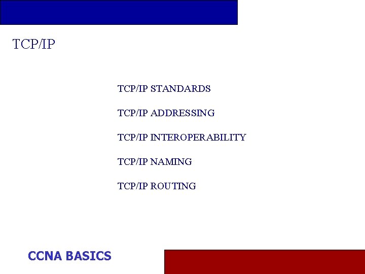 TCP/IP STANDARDS TCP/IP ADDRESSING TCP/IP INTEROPERABILITY TCP/IP NAMING TCP/IP ROUTING CCNA BASICS 