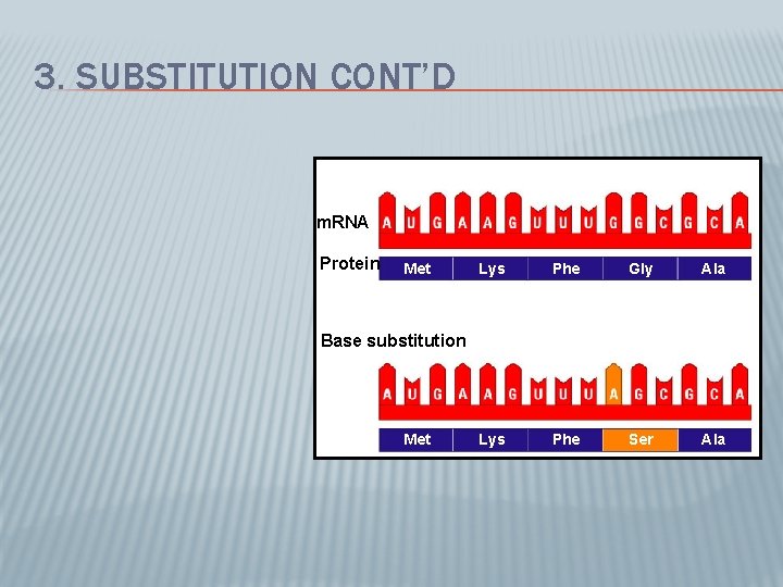 3. SUBSTITUTION CONT’D m. RNA Protein Met Lys Phe Gly Ala Lys Phe Ser