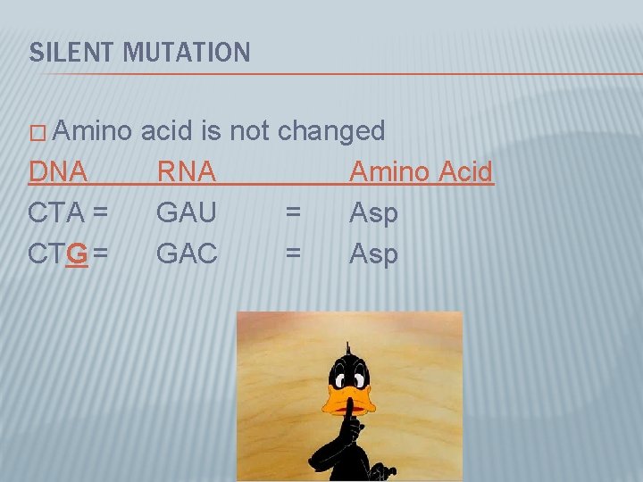 SILENT MUTATION � Amino DNA CTA = CTG = acid is not changed RNA