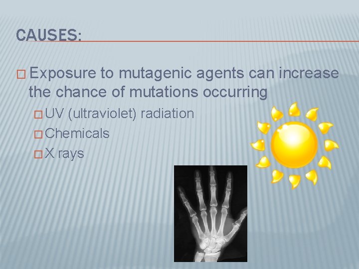 CAUSES: � Exposure to mutagenic agents can increase the chance of mutations occurring �