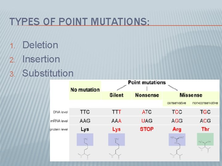 TYPES OF POINT MUTATIONS: 1. 2. 3. Deletion Insertion Substitution 