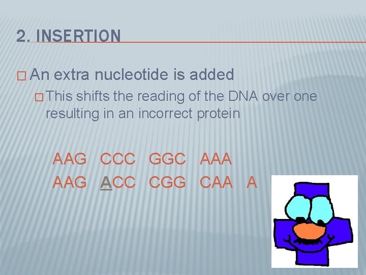 2. INSERTION � An extra nucleotide is added � This shifts the reading of